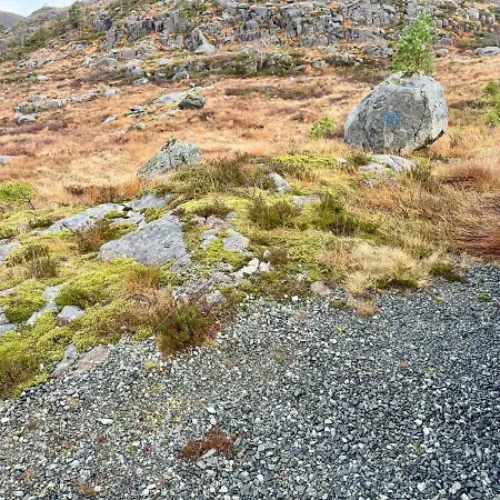 Sjarmerande Fjellhytte I Holtaheia