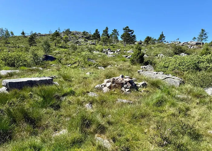Casa de Férias Sjarmerande Fjellhytte I Holtaheia Jørpeland